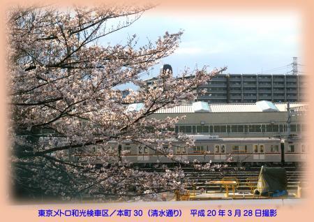 写真：東京メトロ和光検車区の桜