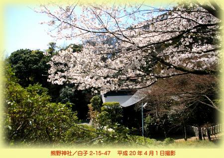写真：熊野神社の桜　平成20年4月1日撮影