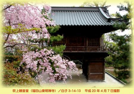 写真：吹上観音の桜　平成20年4月7日撮影