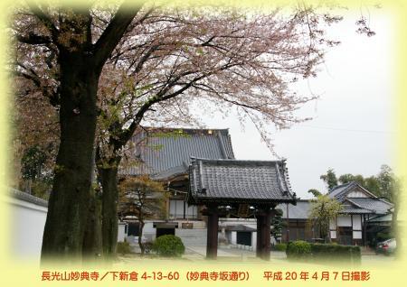 写真：妙典寺の桜　平成20年4月7日撮影