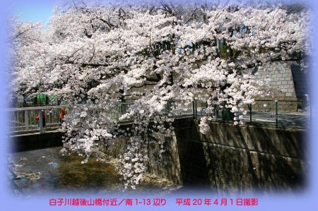 写真：白子川南1丁目付近