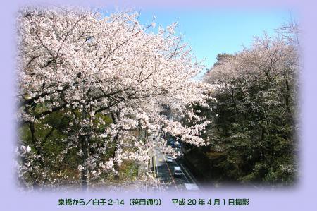 写真：笹目通り泉橋から