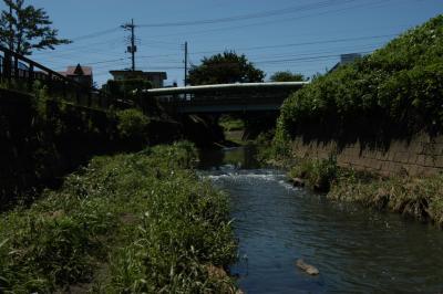 写真：越戸川