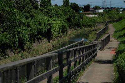 写真：赤池親水公園