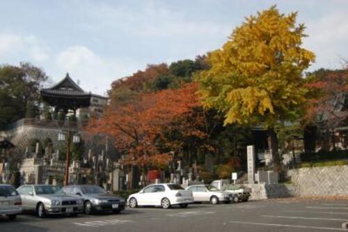 写真：地福寺のイチョウ