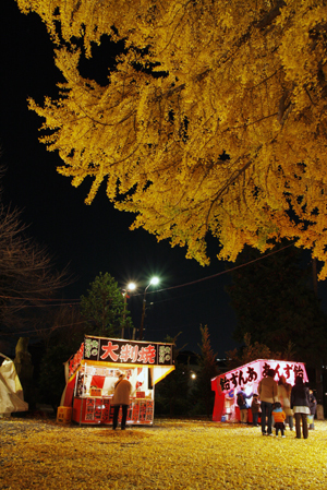 写真：神社の境内にあるいちょうは見事な黄葉