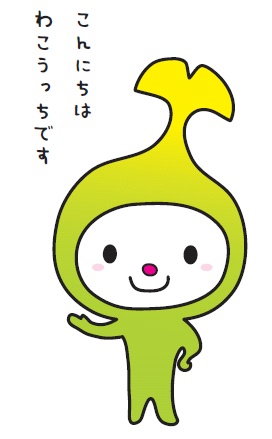 こんにちは　わこうっちです