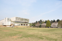 写真：市内の公園
