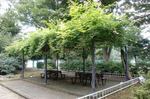 写真：広沢原児童公園