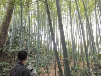 写真:新倉ふれあいの森1