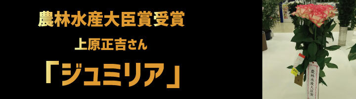 写真：農林水産大臣賞受賞　上原正吉さん　「ジュミリア」