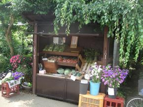 写真： 冨澤茂さんの販売所