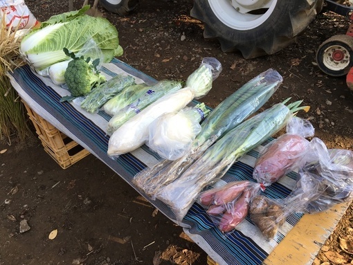 写真:地場産野菜