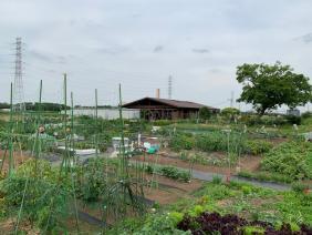 写真：市民農園と農業体験センター