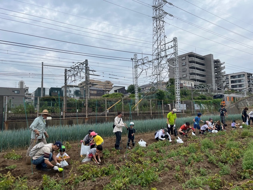 R7実施じゃがいも