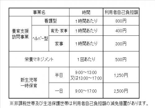 表：各サービスの利用者の自己負担額