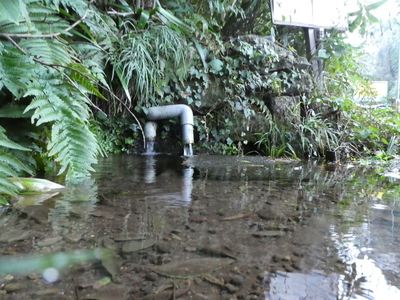 写真：富澤湧水