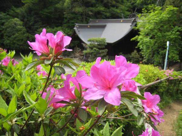 写真:熊野神社4