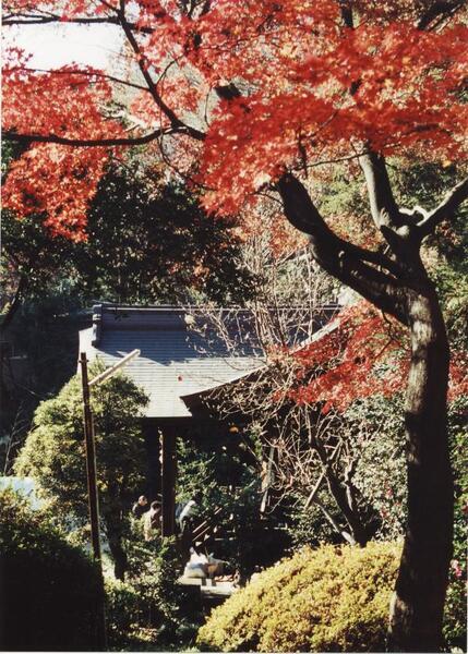 写真:熊野神社5