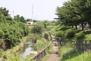 写真：赤池親水公園2