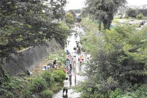 写真：赤池親水公園3