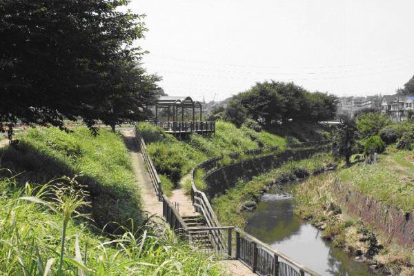写真：赤池親水公園1