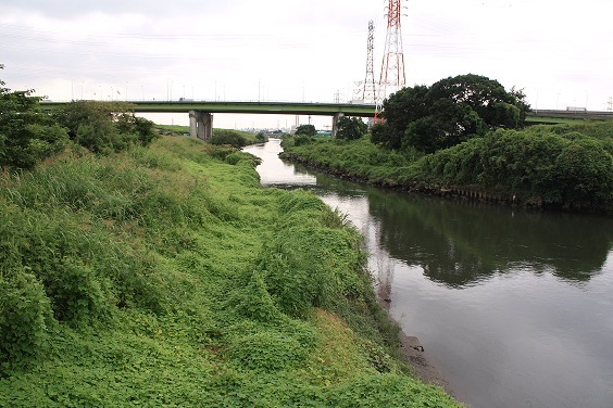 写真：新河岸川・新倉河岸跡の水辺の景観1