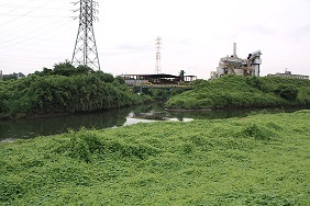 写真：新河岸川・新倉河岸跡の水辺の景観2