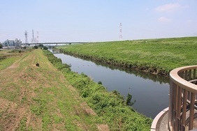 写真：新河岸川・新倉河岸跡の水辺の景観5