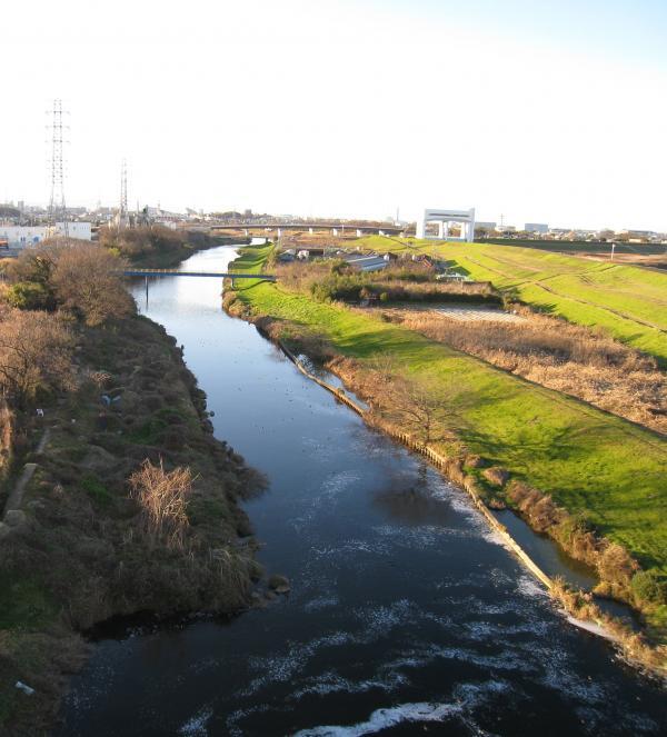 写真：新河岸川
