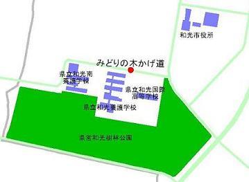 地図：みどりの木かげ道周辺