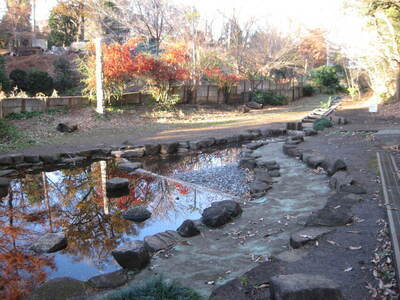写真 柿ノ木坂湧水公園の湧き水と水路