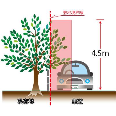 イラスト：車道に張り出た枝葉