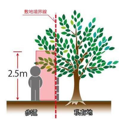 イラスト：歩道に張り出た枝葉