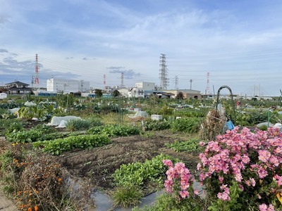 写真：市民農園