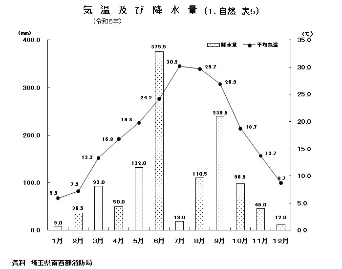 グラフ：気温及び降水量