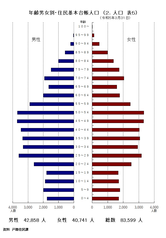グラフ：年齢・男女別住民基本台帳人口