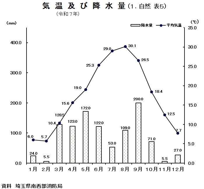 グラフ：気温及び降水量