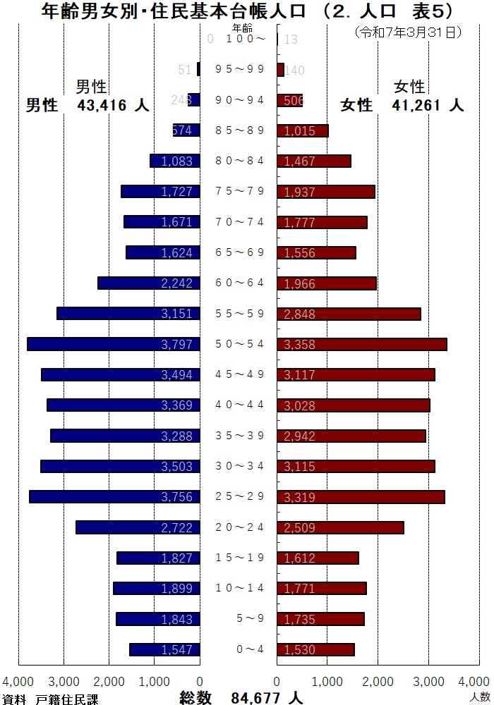 グラフ：年齢・男女別住民基本台帳人口