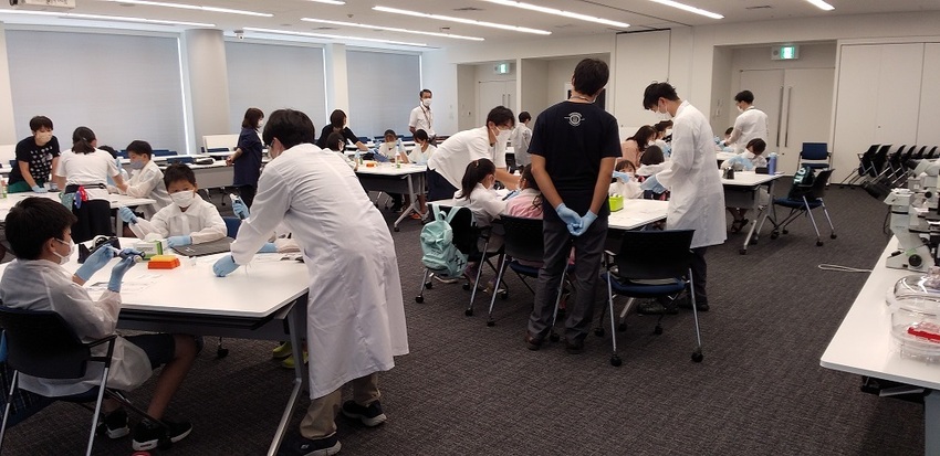 写真：活動の様子