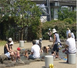 せせらぎ公園の遊水施設の写真