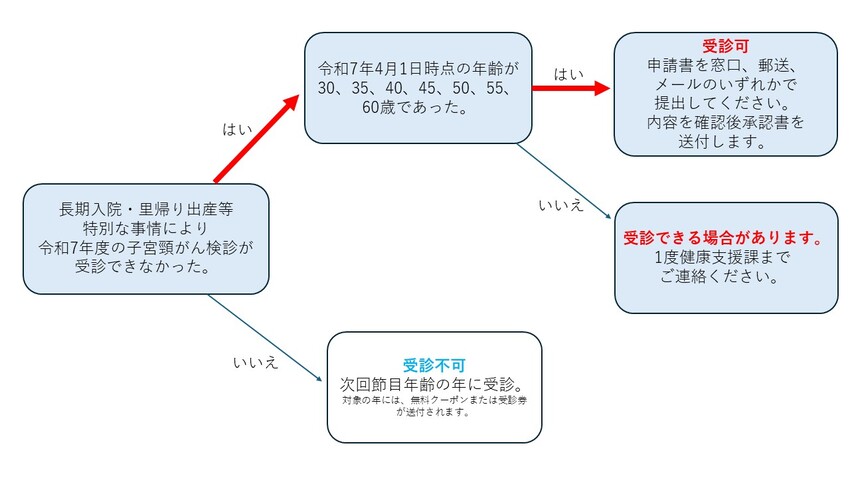 HPV検査単独法特例措置対応図