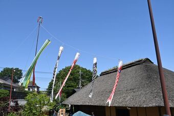画像:元気に泳ぐこいのぼり