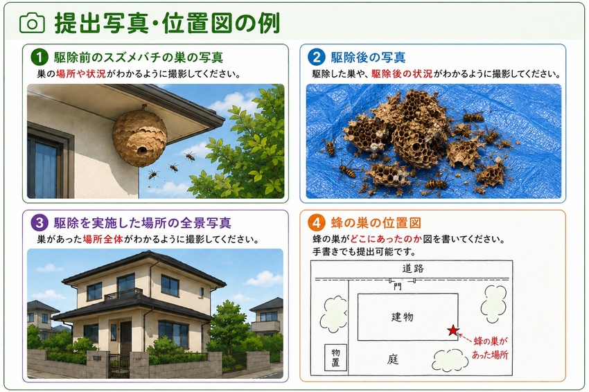 提出写真・位置図の例