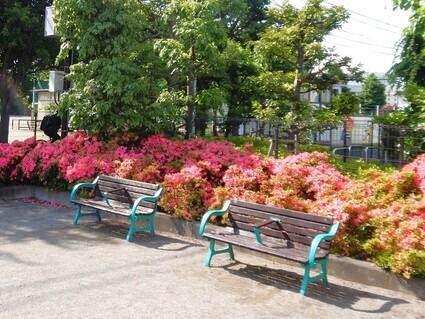 鈴森公園日除け設置前の画像