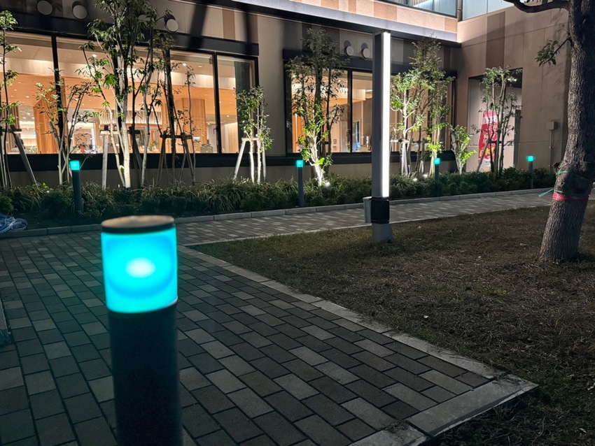 写真：わぴあ広場ライトアップ