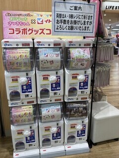 写真：ヨーカドー