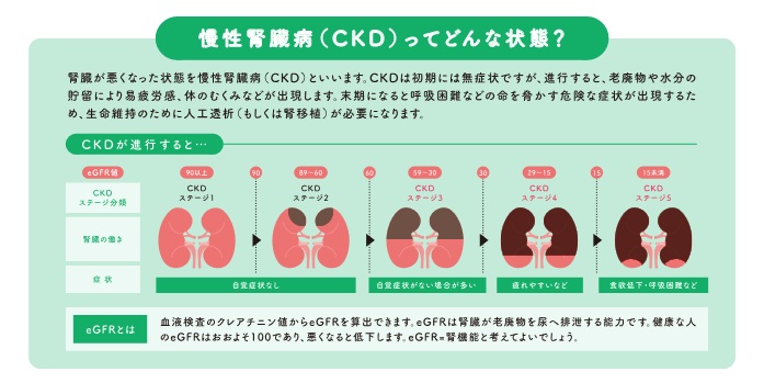 画像：CKDってどんな状態？
